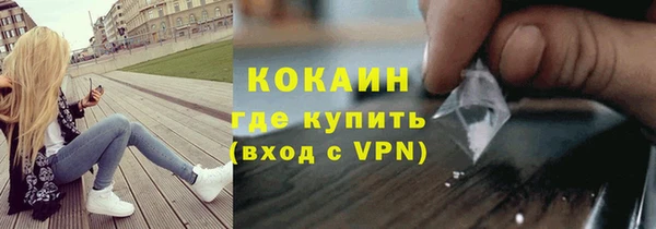 гидра Инта
