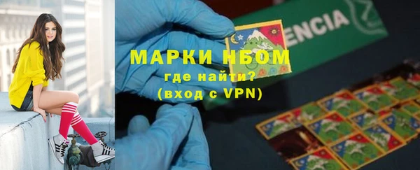 индика Зерноград