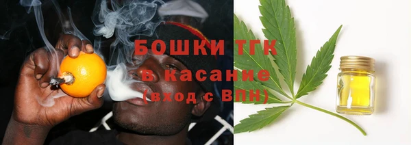 твердый Зеленодольск