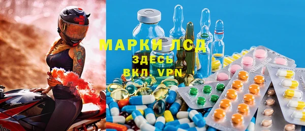 индика Зерноград