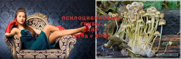 mix Инсар