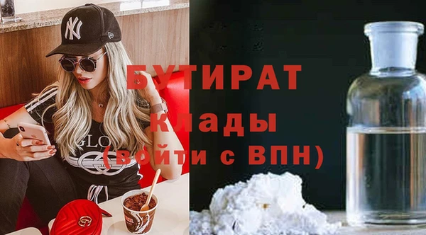 гидра Инта