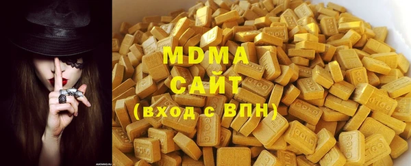гидра Инта