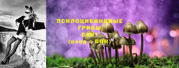 дурь Иннополис