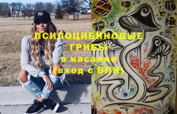 индика Зерноград