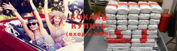 гидра Инта